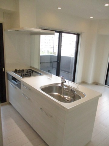 ライオンズプラザ石川台　8キッチン1