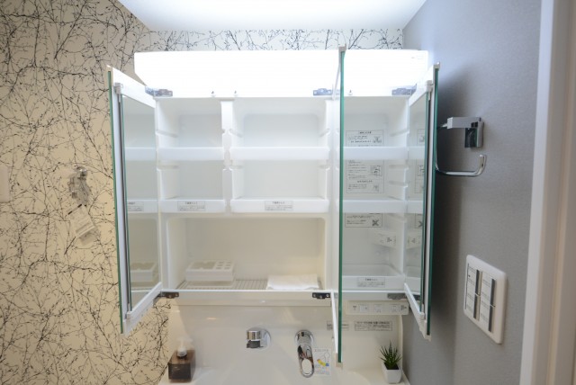 フラワーヒル目黒 洗面室