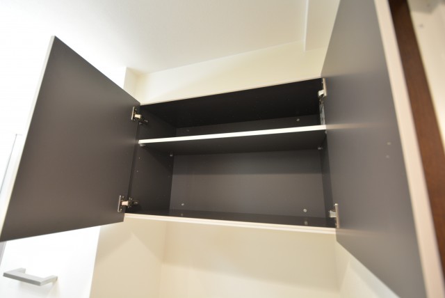 コスモ自由が丘 洗面室