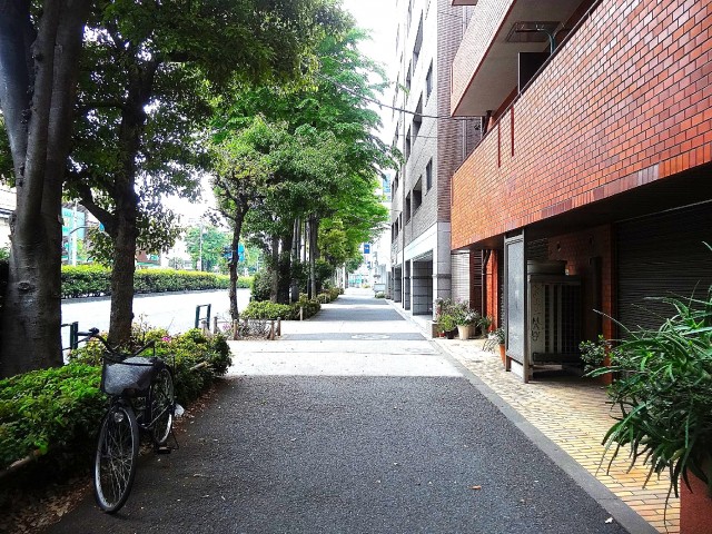 サンスタレ駒沢ファーストコート　前面道路