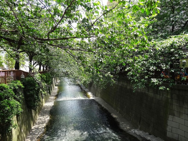 パラスト上目黒　周辺