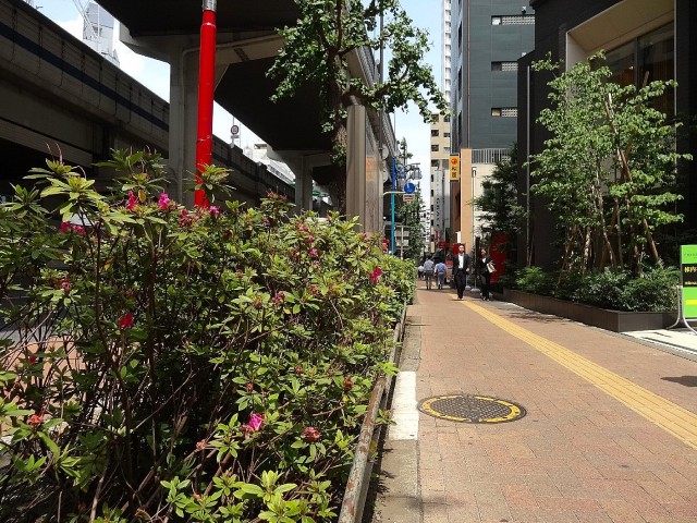 パラスト上目黒　周辺