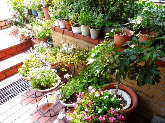 大和コーポ　エントランスホール