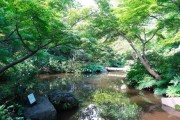 シャンボール池田山　池田山公園