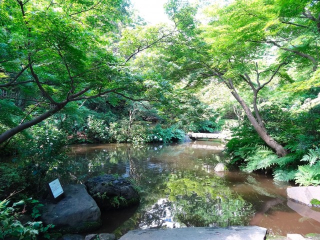 シャンボール池田山　池田山公園