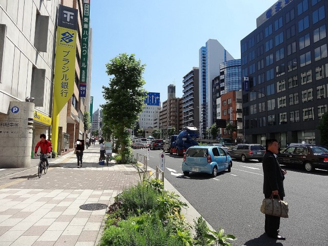 シャンボール池田山　桜田通り