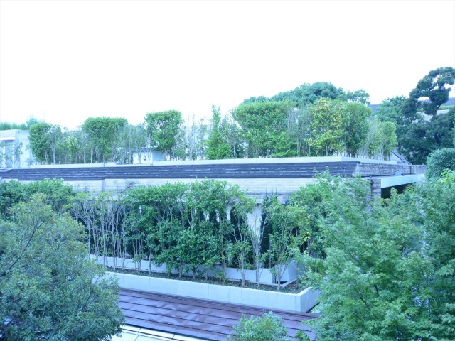 シティコート広尾　眺望