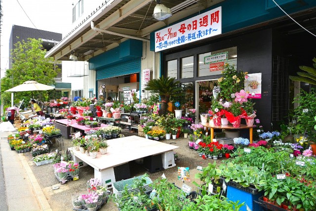 マイキャッスル馬事公苑　周辺