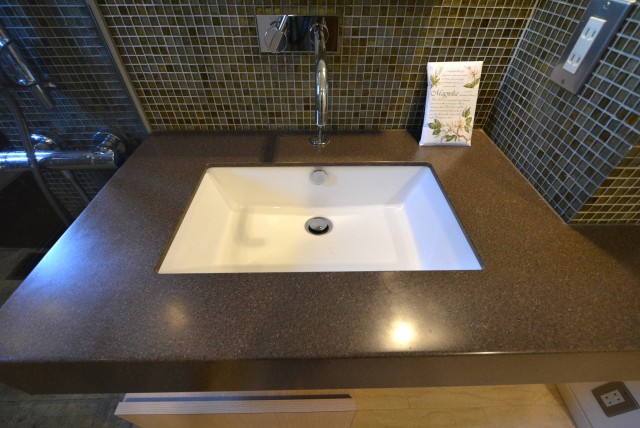 東急ドエルアルス上野毛206 　洗面台