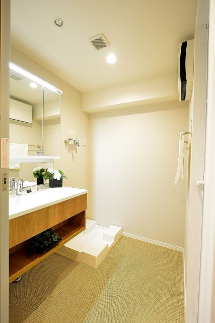 代官山マンション　サニタリールーム