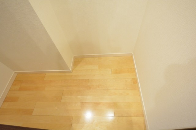 ビラカーサ四谷四丁目　廊下収納