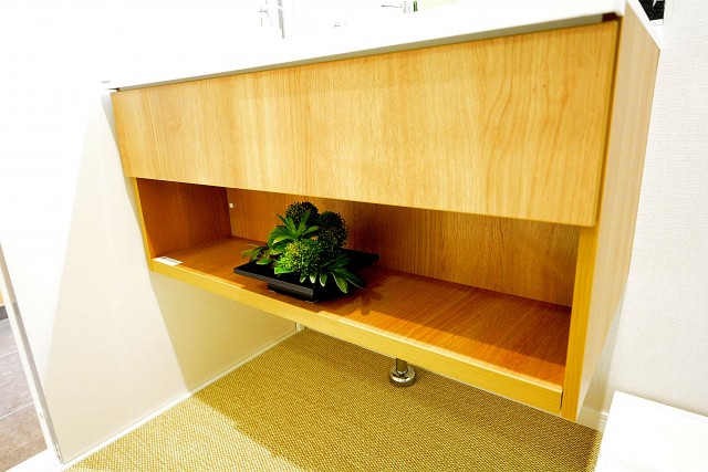 代官山マンション　洗面台下収納スペース