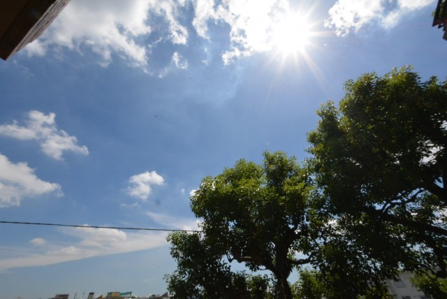 東急ドエルアルス上野毛206 　太陽