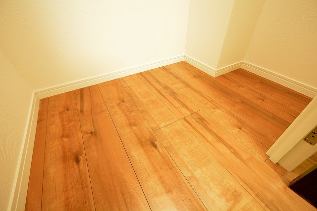 西新宿ハウス　5.0帖の洋室WIC