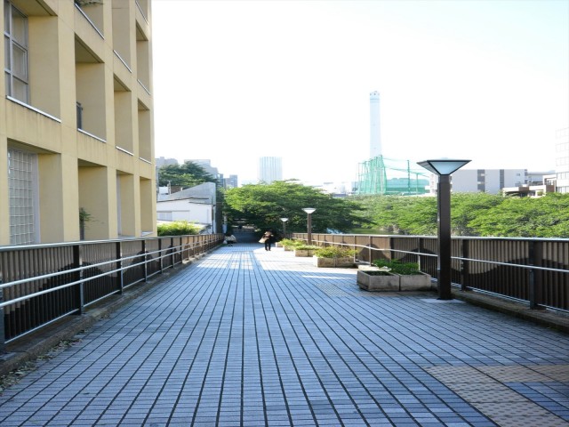 クレッセント目黒Ⅱ　周辺環境