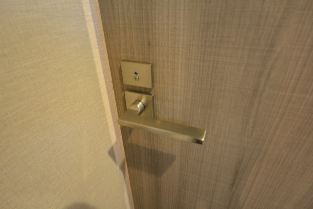 ライオンズマンション上野毛206　扉