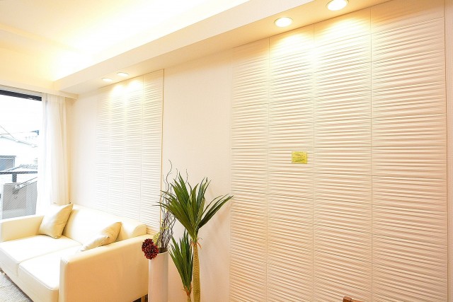 コスモ自由が丘　14.0帖LDKのエコカラット