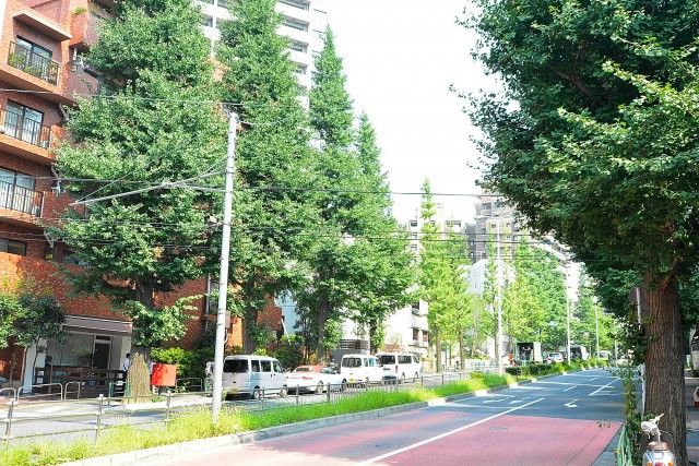 ライオンズマンション広尾第2　周辺