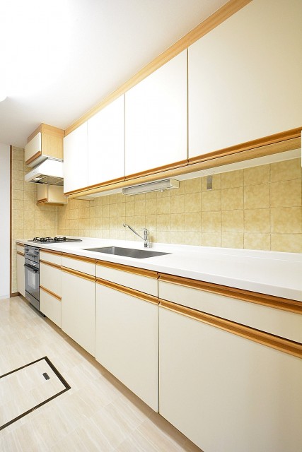 エステージ上野毛　5.0帖キッチン