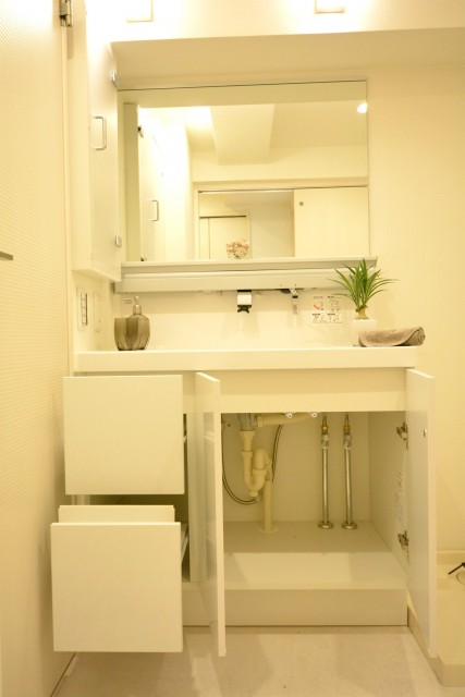 ライオンズマンション高円寺南　洗面所