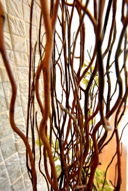 ライオンズマンション高円寺南　リビング