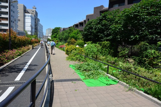 ハイネス池尻　周辺