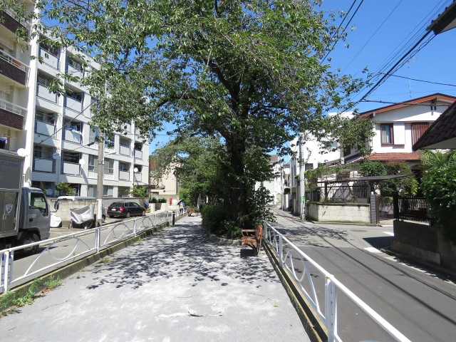 自由ヶ丘第七コーポ　緑道