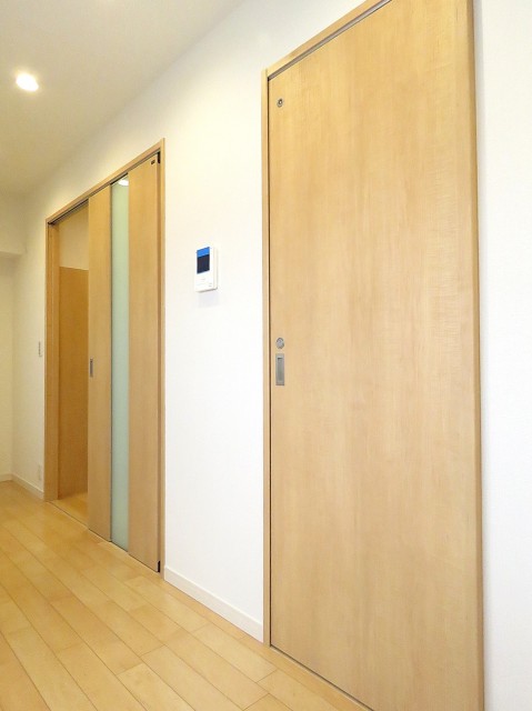 ワコー三田マンション　洗面室扉