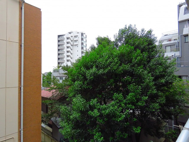 日商岩井第2玉川台マンション　眺望