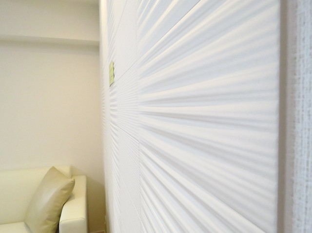 ハイネス巣鴨　エコカラット