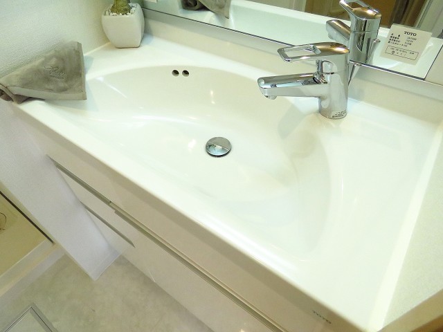 ハイネス巣鴨　洗面ボウル