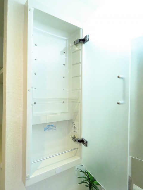 ハイネス巣鴨　キャビネット