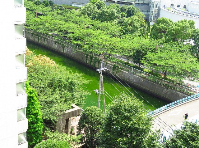 マンション御殿山　眺望