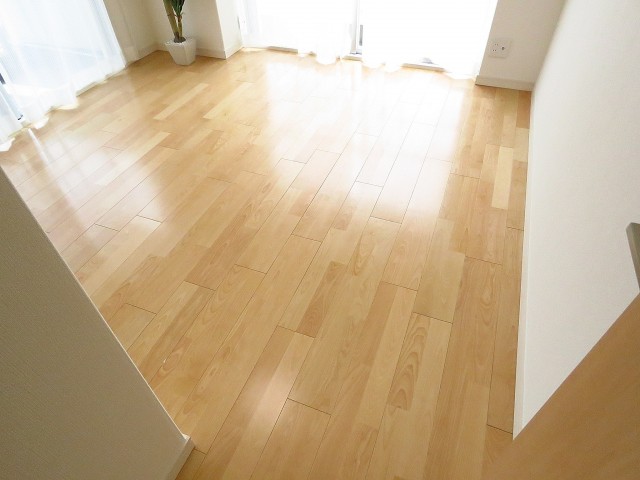 ハイネス巣鴨　洋室約6.0帖