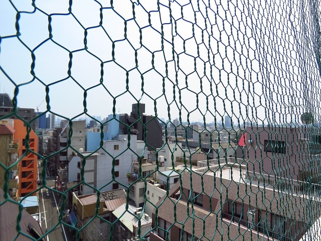 ハイネス巣鴨　南東側バルコニー眺望