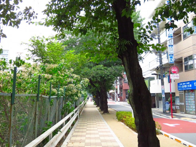 メゾン・デラビル巣鴨　すがも桜並木通り