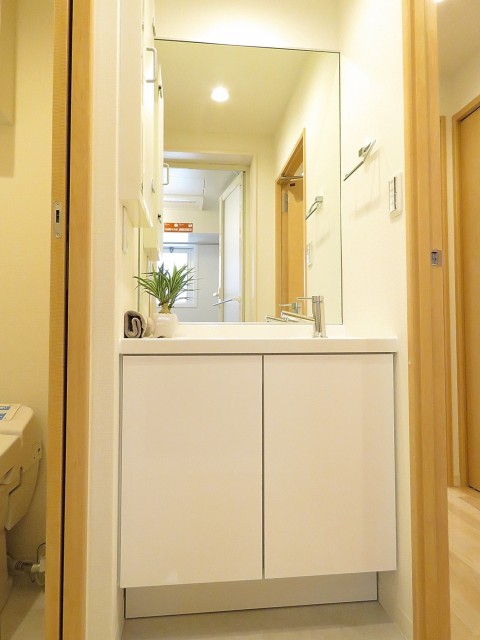 西池袋ローヤルコーポ　洗面化粧台