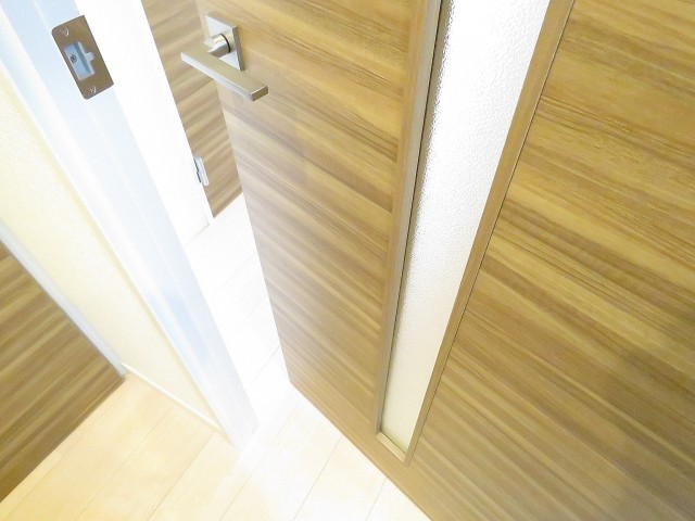 メゾンドール駒込　LDK扉
