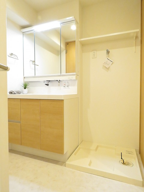 藤和南大塚コープ　洗面化粧台と洗濯機置場