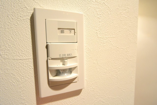 コスモ自由が丘 (12)玄関