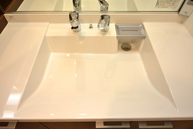 コスモ自由が丘 洗面室