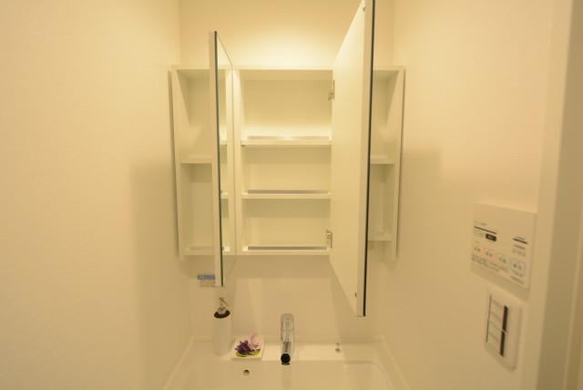 マンションヴィップ等々力 洗面