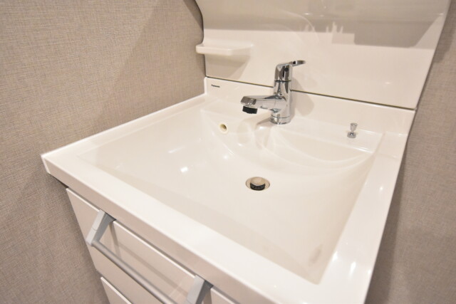 ヴェラハイツ日本橋箱崎 洗面室