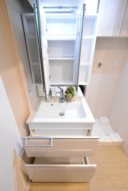 シャンボール上馬 洗面室