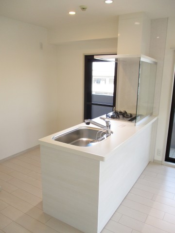 ライオンズプラザ石川台　８キッチン３