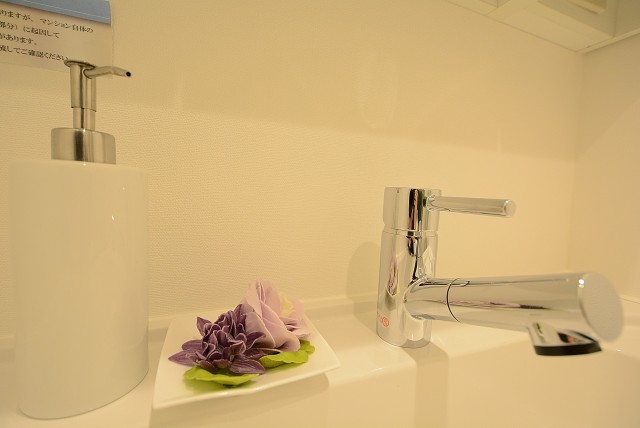 マンションヴィップ等々力 洗面