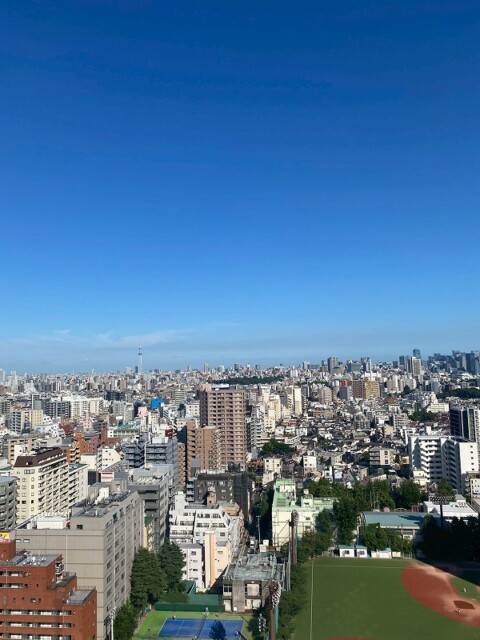 ライオンズタワー池袋 眺望 ライオンズタワー池袋 眺望