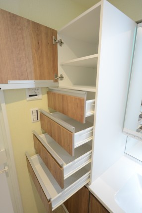 フリーディオ芝公園アネックス 洗面室