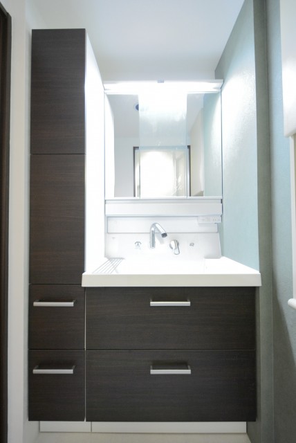 イトーピア音羽 洗面室