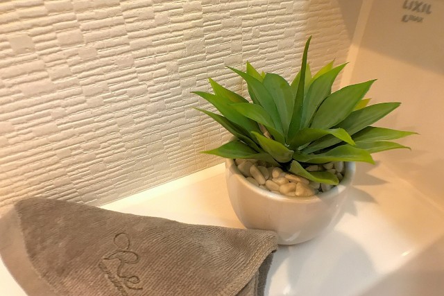 アルカンシエル高井戸 洗面